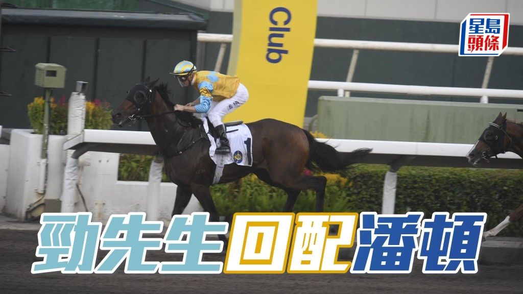 「勁先生」在港獲得三冠，其中兩捷由潘頓建功，且看今場回配贏馬配搭，能否順利補中。