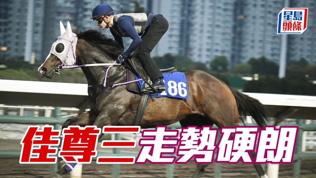  「佳尊三」戴眼罩及頭罩由董明朗跳三段，跑姿一向有啲古怪，論盡起得理想，有火有力走勢硬朗。