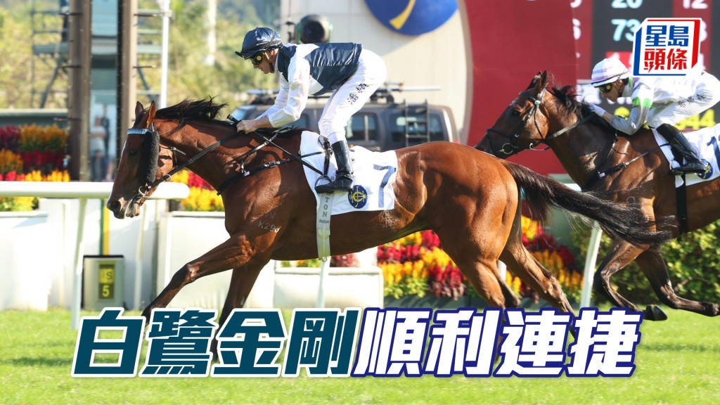 「白鷺金剛」順利連捷