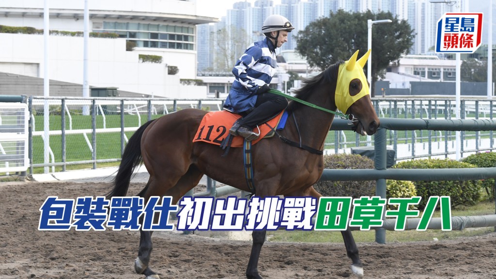  「包裝戰仕」明日沙田賽事初次登場，角逐第九場三班千八米。