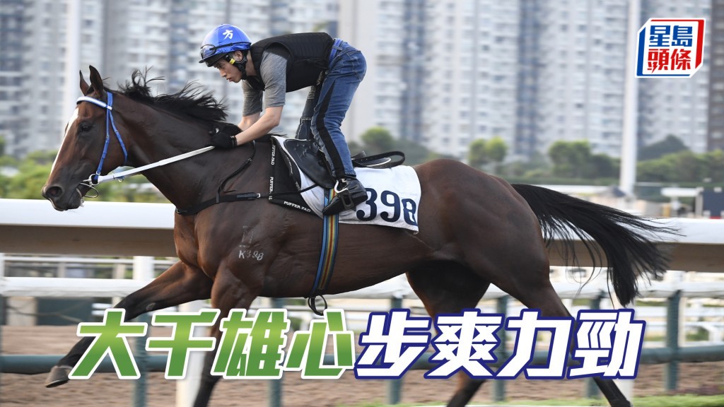 「大千雄心」大大步走過外觀又靚，饒具氣勢勇況已備。