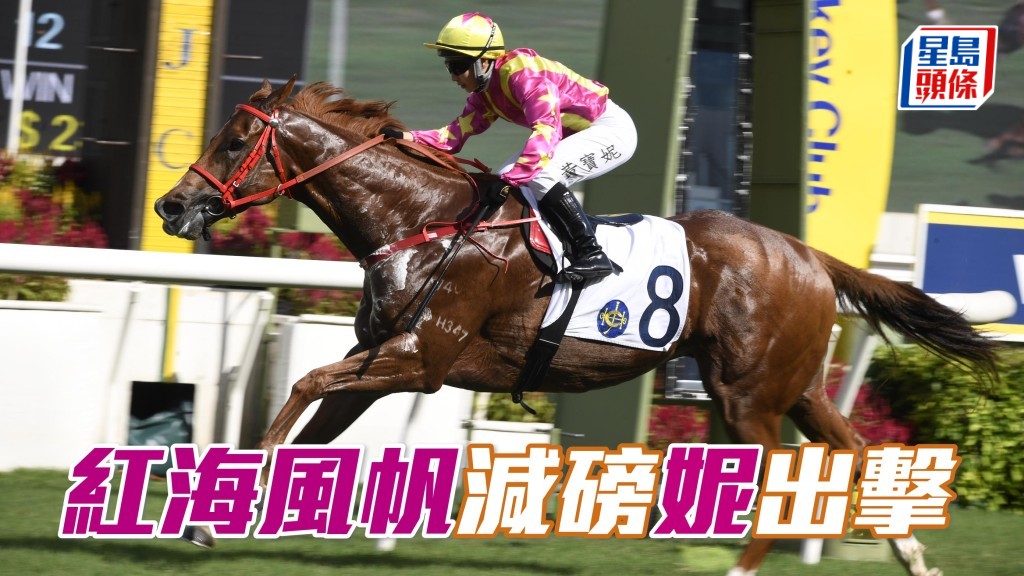 文家良和黃寶妮有望繼「荃程路通」後，再以「紅海風帆」（圖）合作贏馬。