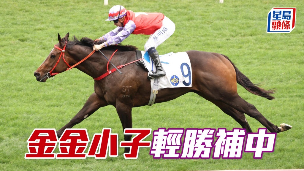 「金金小子」輕勝補中
