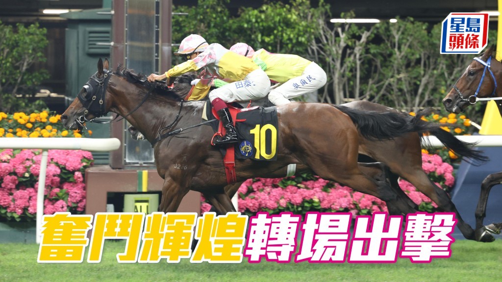 較季初已減去五分的「奮鬥輝煌」(圖) 今仗重返勝途谷草一哩，換上跟田泰安一樣咁硬功的麥文堅，相信亦屆出擊時。
