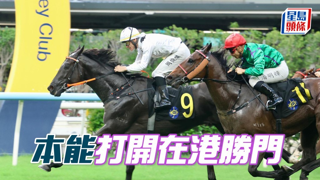 「本能」打開在港勝門