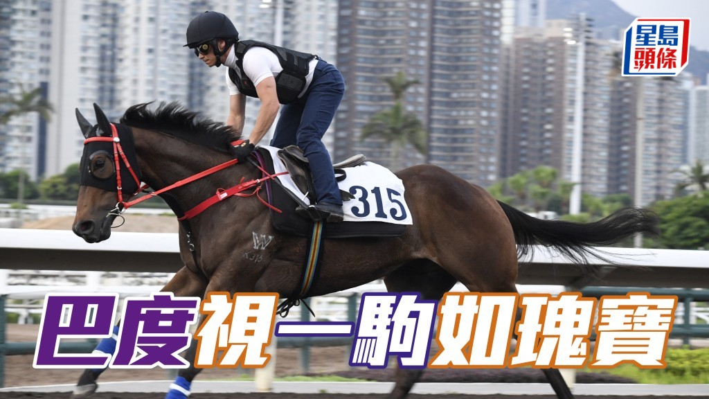 巴度對於「路路勁」(圖) 今課表現好滿意,仲要之後走去全哥身旁詳細匯報,簡直視如瑰寶。