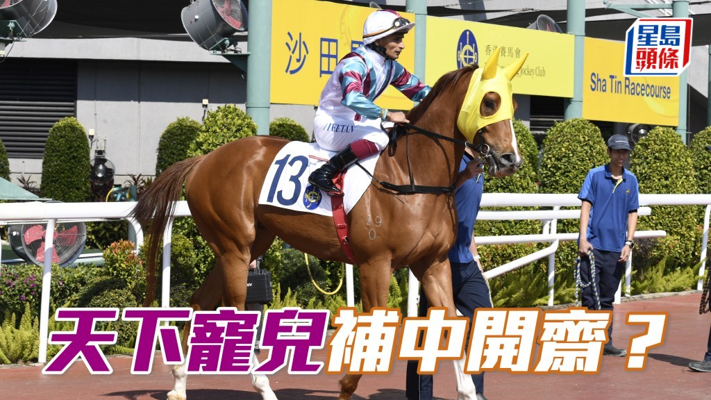 周嘉儀名下的「天下寵兒」上場在田泰安胯下於同程跑得第二名，今仗人馬再戰力求補中。