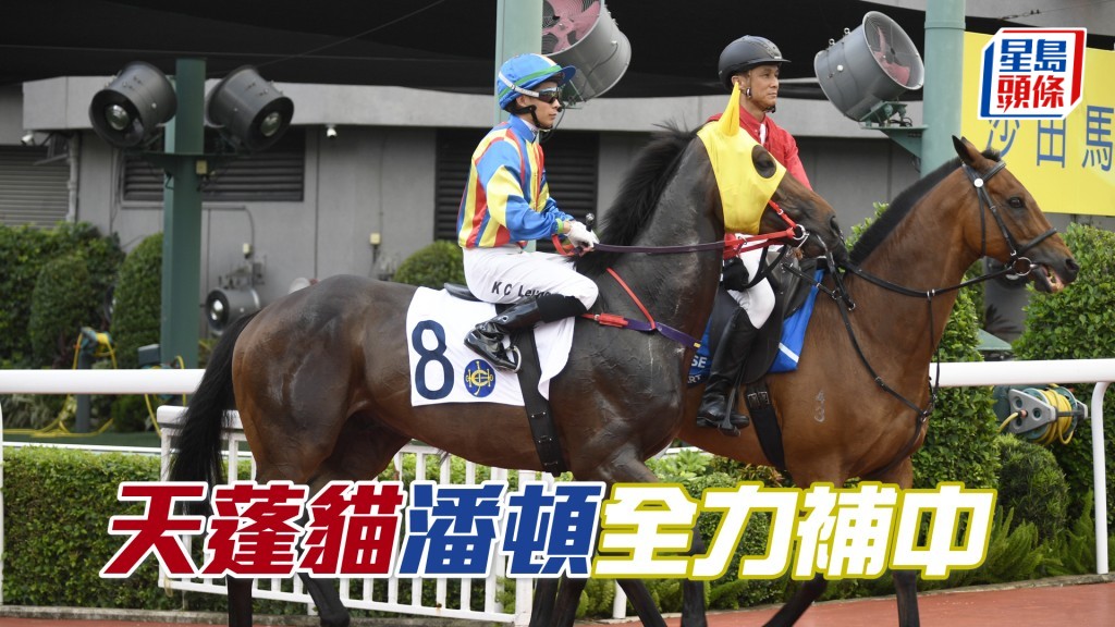 「天蓬猫」上场初次增程一哩，于潘顿胯下入位。