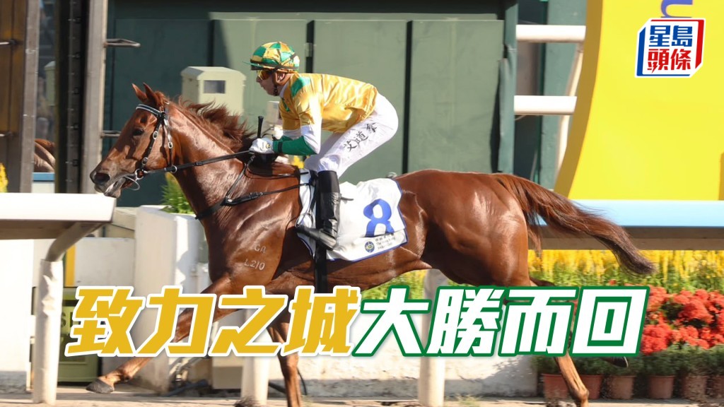 「致力之城」大勝而回