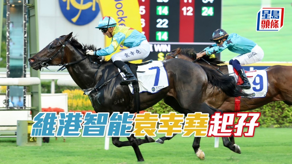 「维港智能」袁幸尧起孖