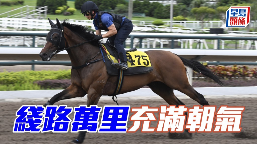 「綫路萬里」助手踱一圈，步伐穩健力度足夠，馬身靚且有線條美，雙目炯炯有神，充滿朝氣。