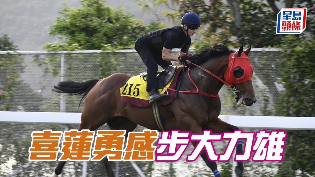「喜蓮勇感」充滿勁度，毛色油潤悅目。
