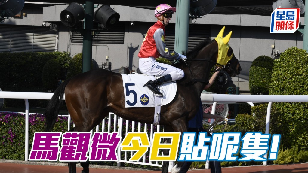 「黃金騎士」得好布