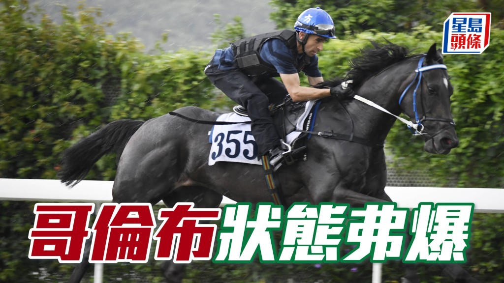 晨光追击│「哥伦布」状态弗爆