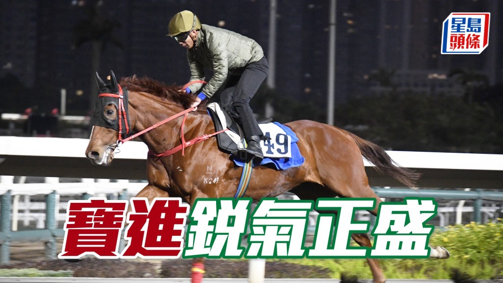 「寶進」馬身更壯力度再增強，勝後更吸引。
