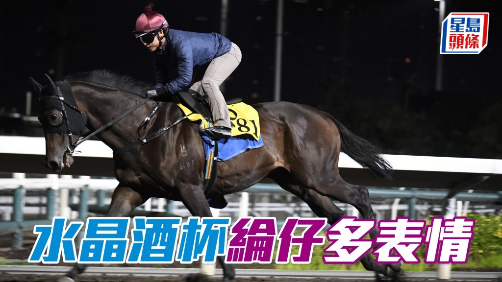 綸仔昨朝六點現身即替「水晶酒杯」(圖) 出跳，最有睇頭課後詳細向桂福特匯報，當時仲講到手舞足蹈相當肉緊。