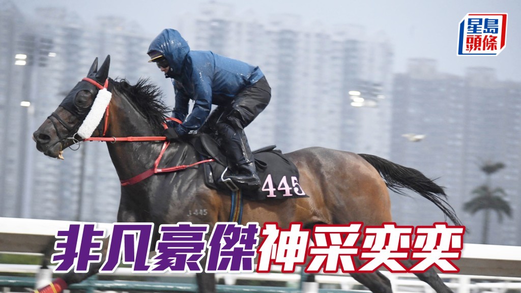 「非凡豪傑」操控得好唔急口，喼到身壯毛色仍靚。