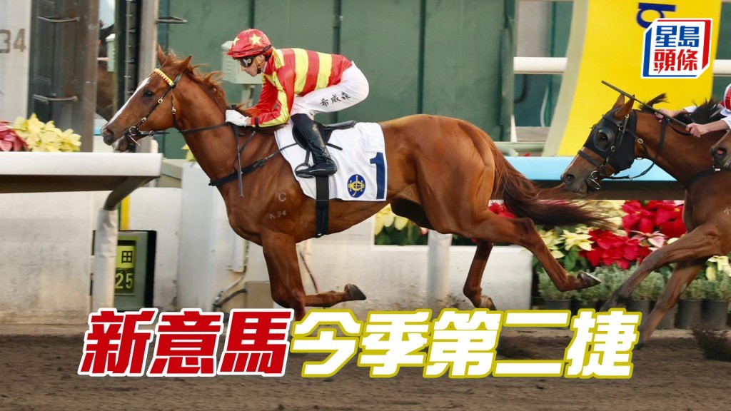 「新意马」今季第二捷