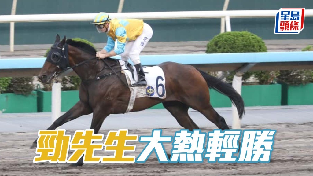 「勁先生」大熱輕勝