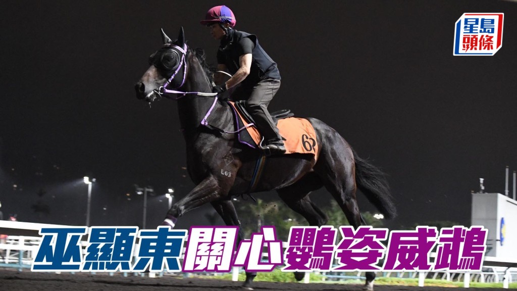 巫显东关心「鹦姿威鹉」状况。