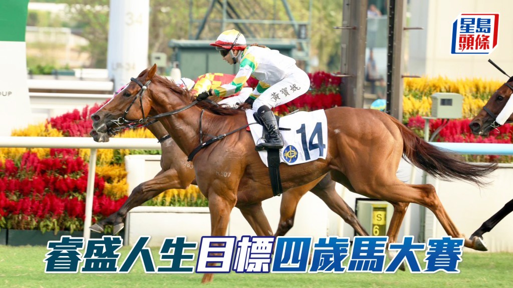 「睿盛人生」早前在女見習騎師黃寶妮胯下一出即勝，捧走樂聲盃。