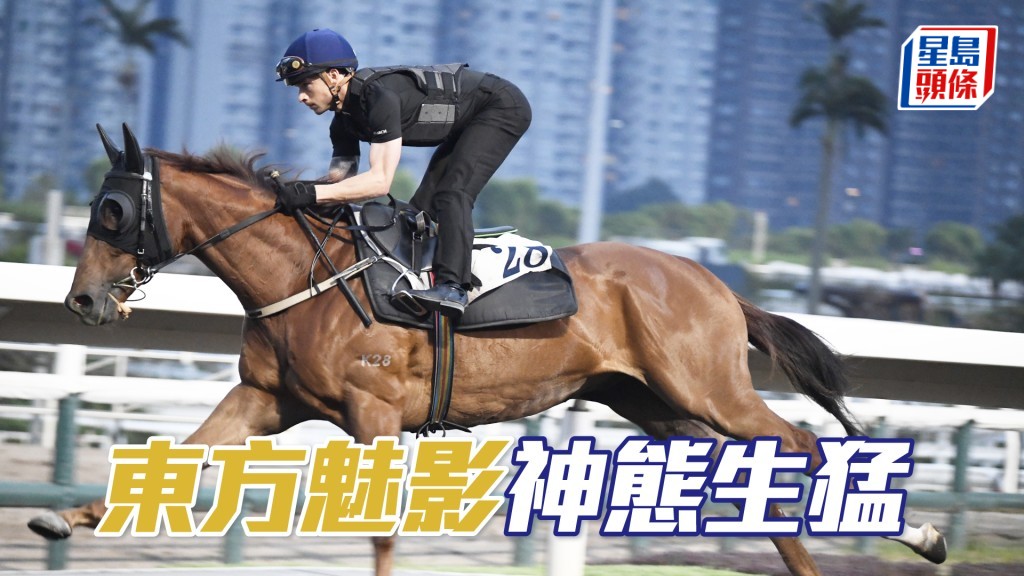 「东方魅影」全程跃跃欲试，近况出色极具好感。