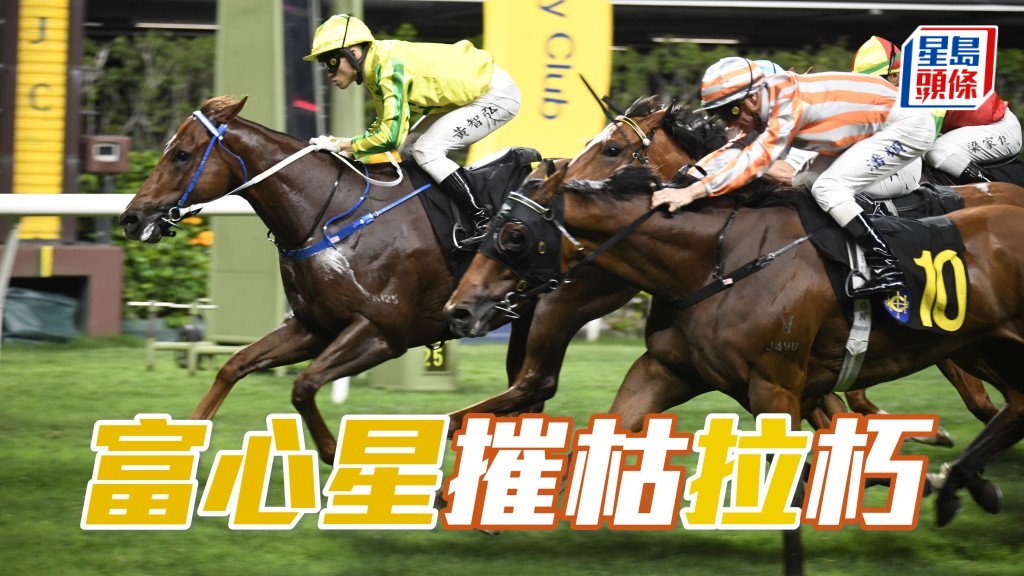 「富心星」(內) 居四班能力佔優，今次強配莫雷拉勝望濃。
