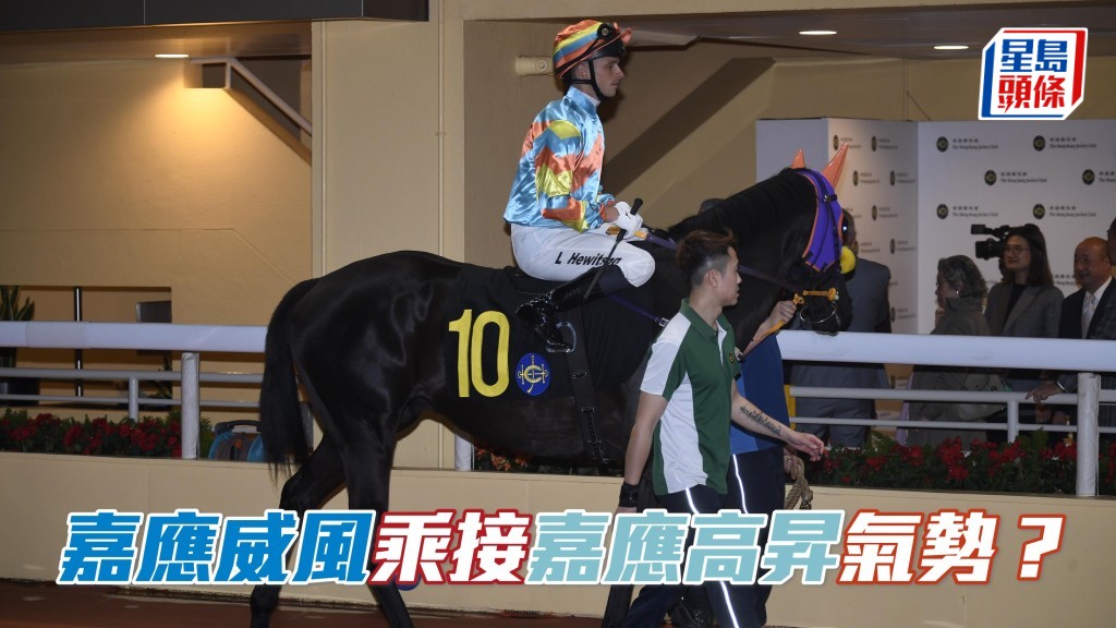 今期「嘉應高昇」同系的「嘉應威風」(圖) 將出戰第四場賽事,此系馬主當旺,值得拖一票。