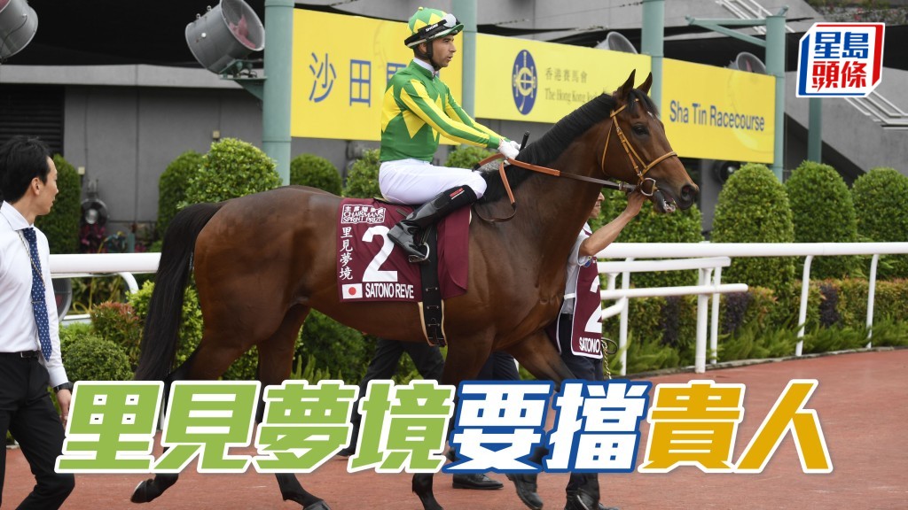 第五十九屆日本短途馬錦標，除前香港三冠短途王「金鑽貴人」之外，最備受注視的定是上季兩度來港不敵香港馬王「嘉應高昇」的「里見夢境」(圖) 。