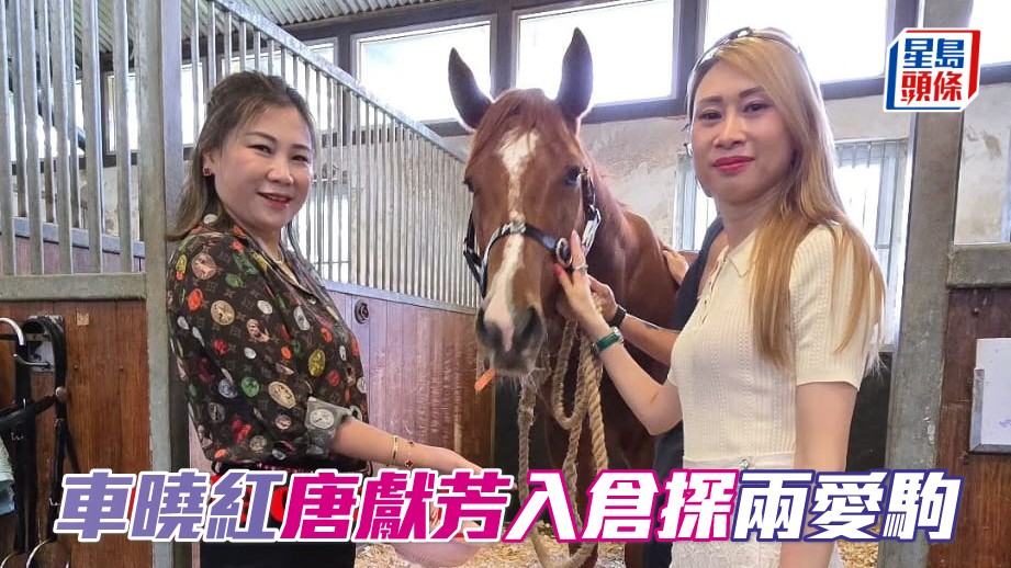 车晓红 (左) 与唐献芳 (右) 入仓探「祝愿」和新马M003。相片来源：廖康铭马房IG