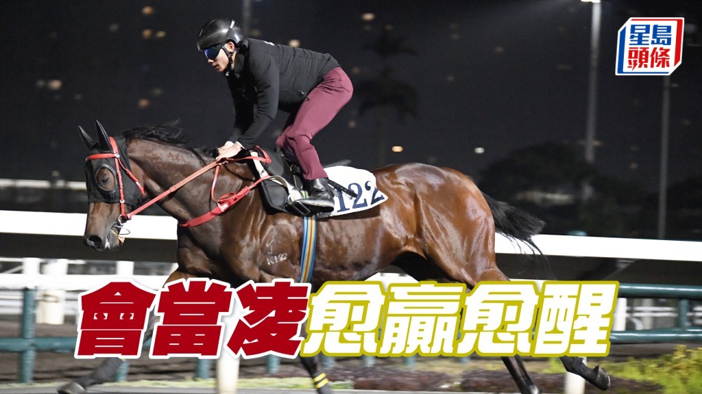  「會當凌」神態活躍，馬身壯到不得了。