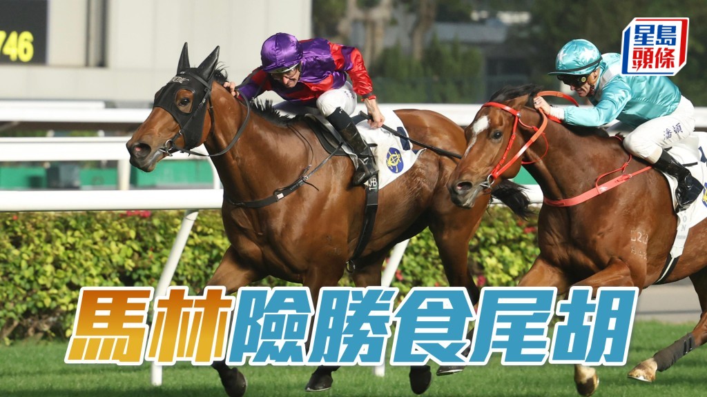 「馬林」險勝食尾胡。