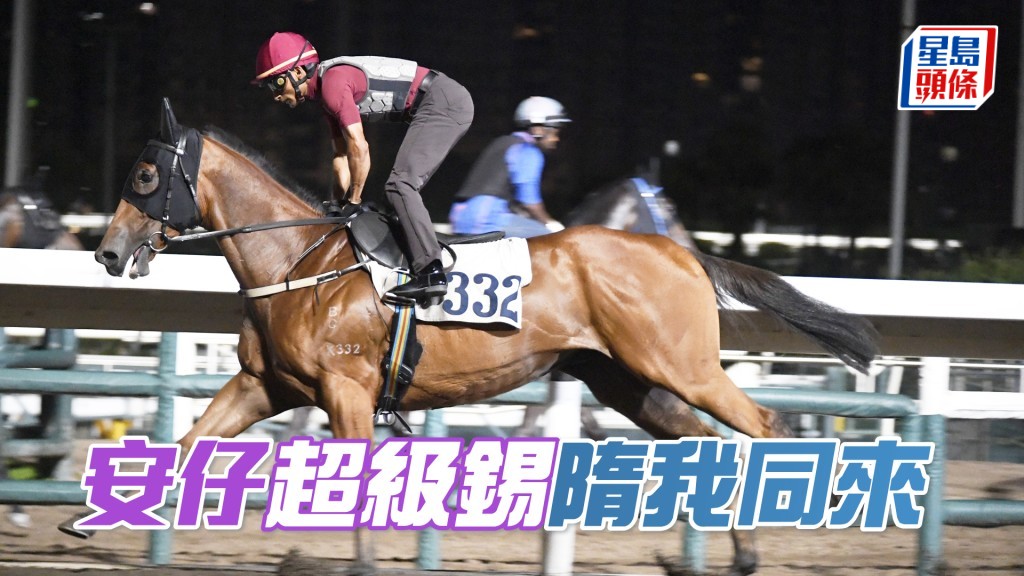 田泰安今朝只為「隋我同來」一匹出試。