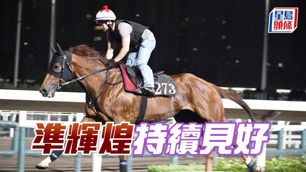 「准辉煌」细马身养得饱满，步顺轻巧现朝气。