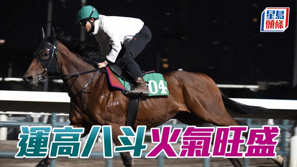 「運高八斗」近日出試時火旺神態生猛，勇況保持有餘。
