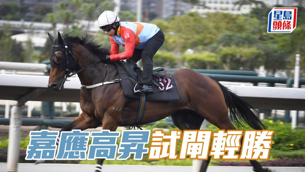 今朝「嘉应高升」试闸弹甩群驹轻松胜出。