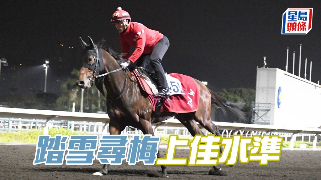 「踏雪尋梅」力度未減半分，馬身夠壯夠實淨。