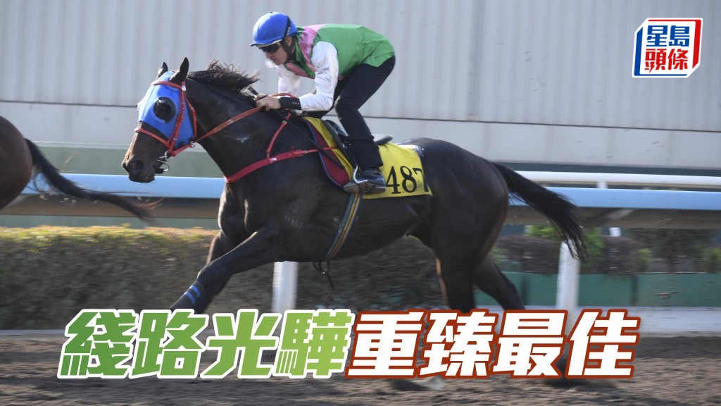 「綫路光驊」(圖) 近來早課步順輕快身壯結實，神色又好展現暗火，狀態回復最佳時候。
