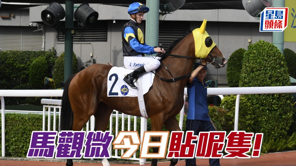 「晒冷」悉心布置