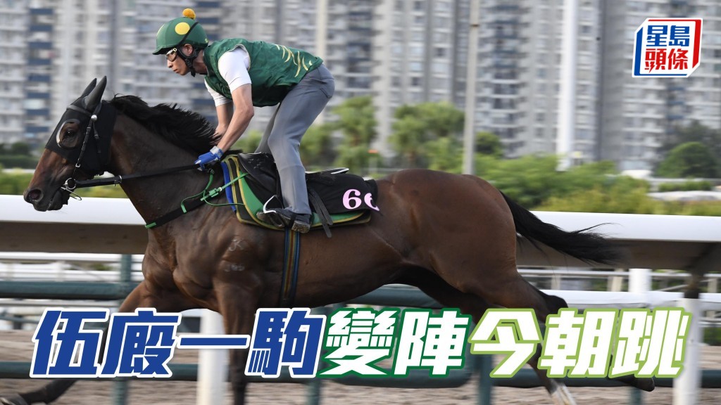 「晨曦儷人」(圖) 一反常態,留待今朝先至快跳,是否有特別策略就不得而知?