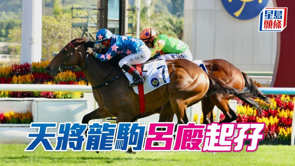「天將龍駒」呂廄起孖