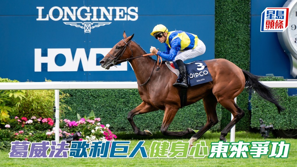 葛威法篤定法國稱皇，旗下兩駒「歌利巨人」(圖) 及「健身心」東來香港國際賽爭功。