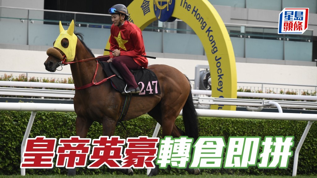 獨家猛料│「皇帝英豪」轉廄即拼