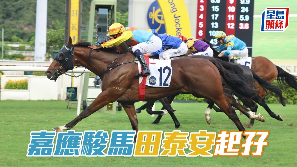 「嘉應駿馬」田泰安起孖