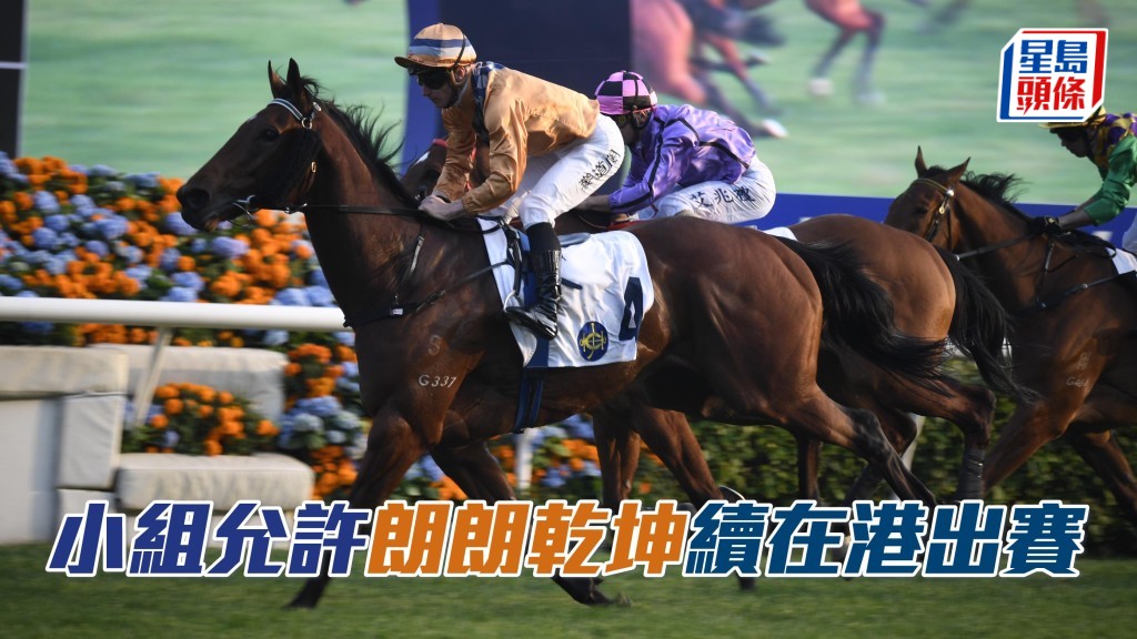 若合乎四項條件,「朗朗乾坤」可繼續在港出賽。