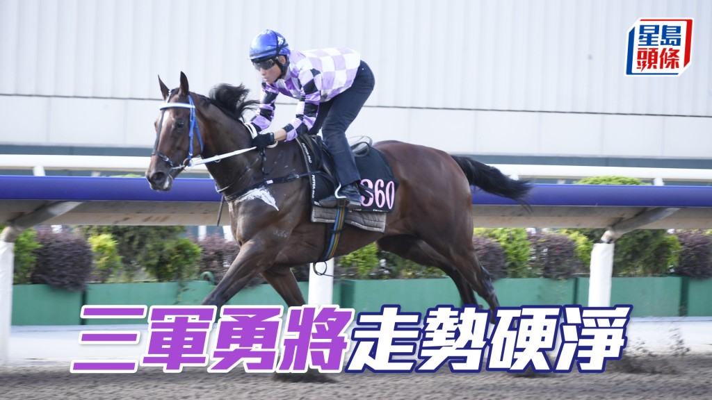 「三軍勇將」毛色鮮明潤澤，神采飛揚更進一步。