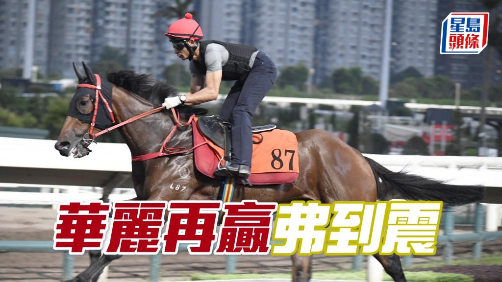 「華麗再贏」鬆韁刻意快開，健步如飛出腳凶狠。