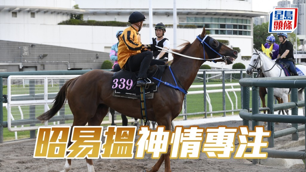 「昭易搵」跨步爽朗勁度夠，馬身保持壯健。