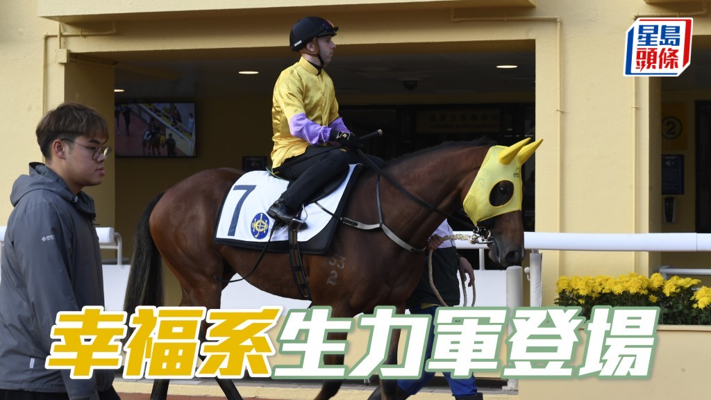 獨家猛料│黃凱汶「幸福」系生力軍登場