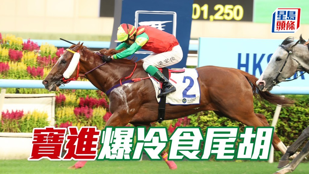 「寶進」爆冷食尾胡